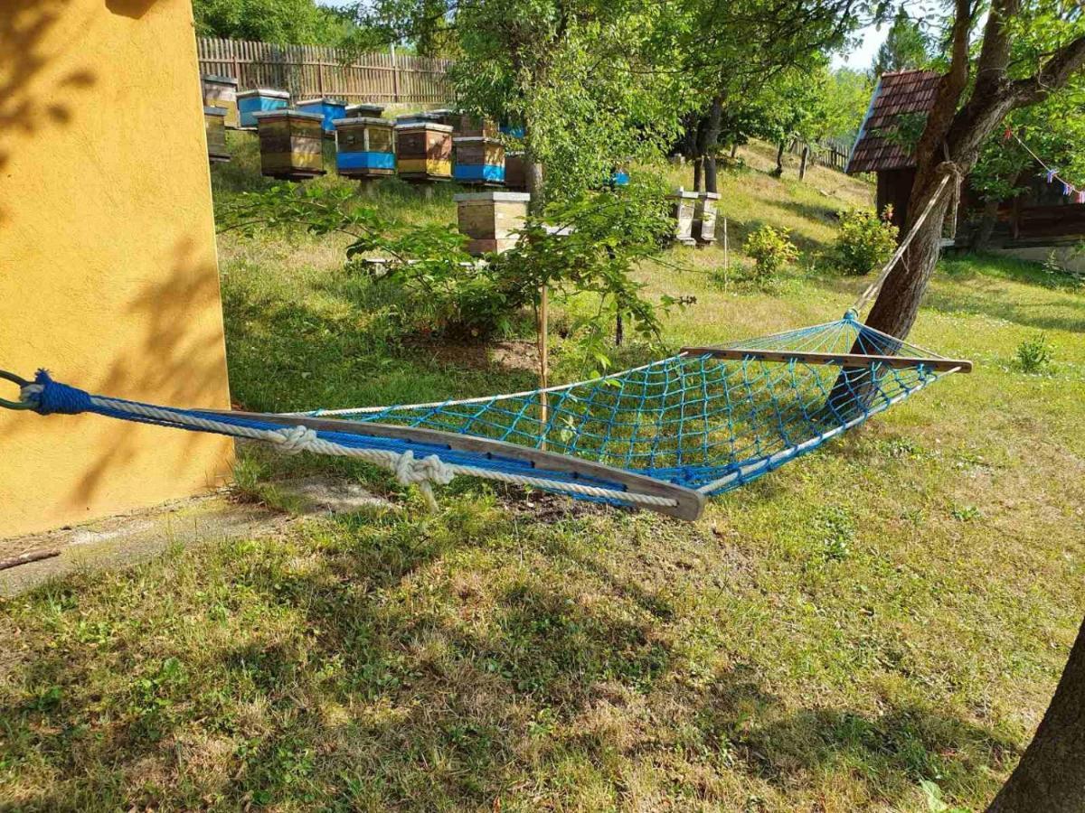 Apartman Draga Bed and Breakfast Μόκρα Γκόρα Εξωτερικό φωτογραφία