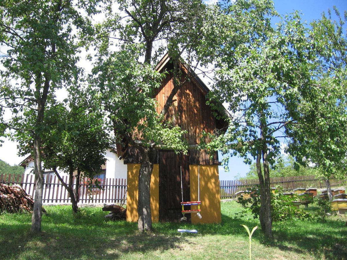 Apartman Draga Bed and Breakfast Μόκρα Γκόρα Εξωτερικό φωτογραφία